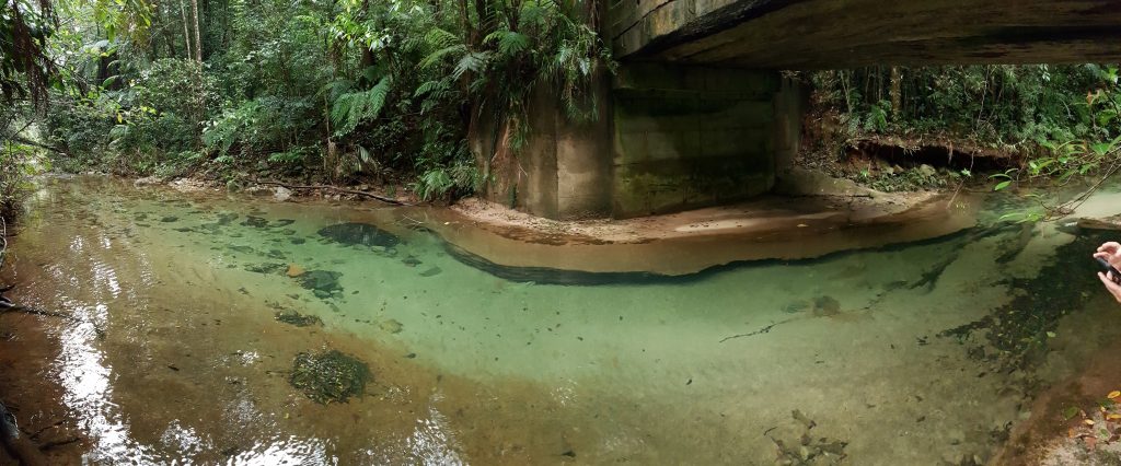 Birthday Creek