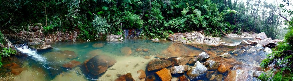 Cloudy Creek