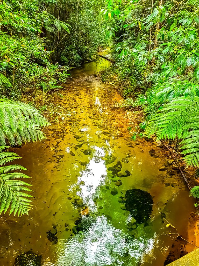 Birthday Creek