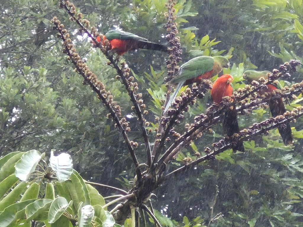 Feeding time