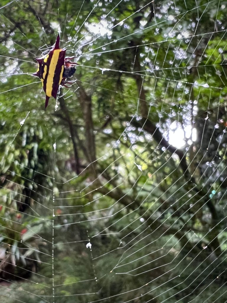 Daytime Critters 1