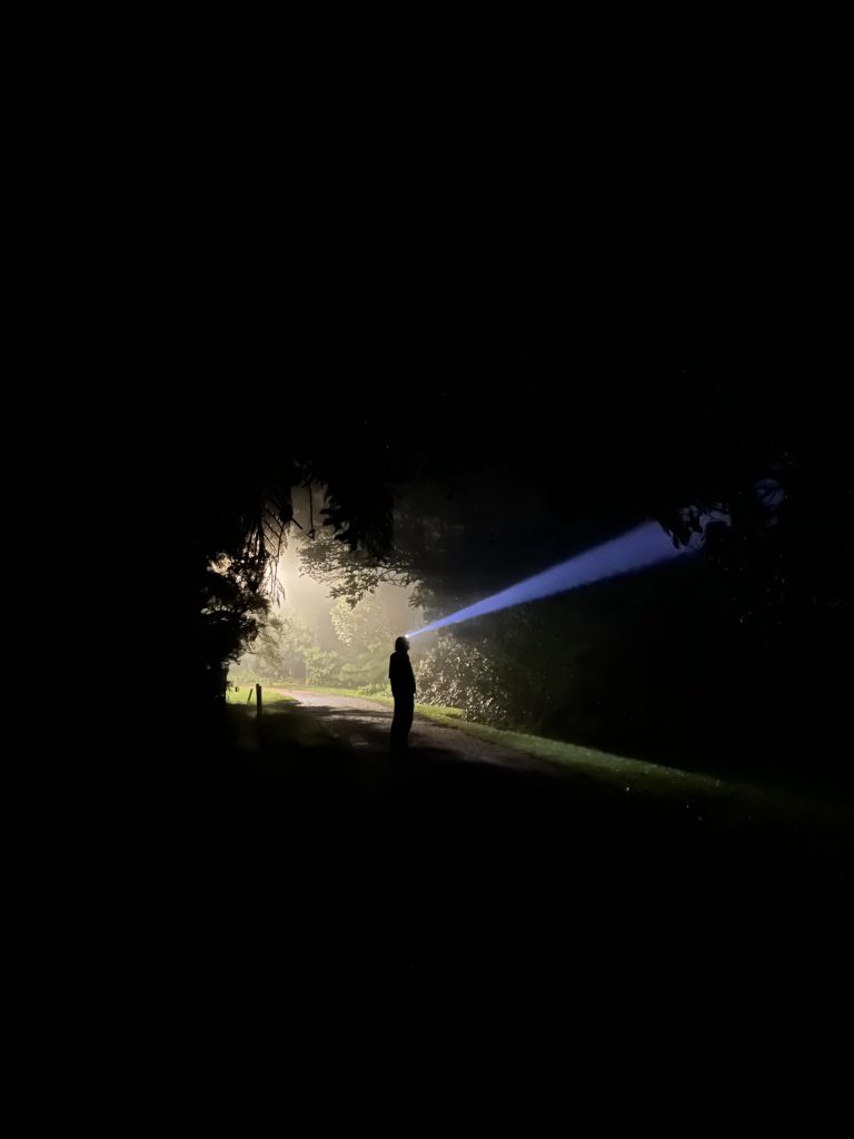 After Dark