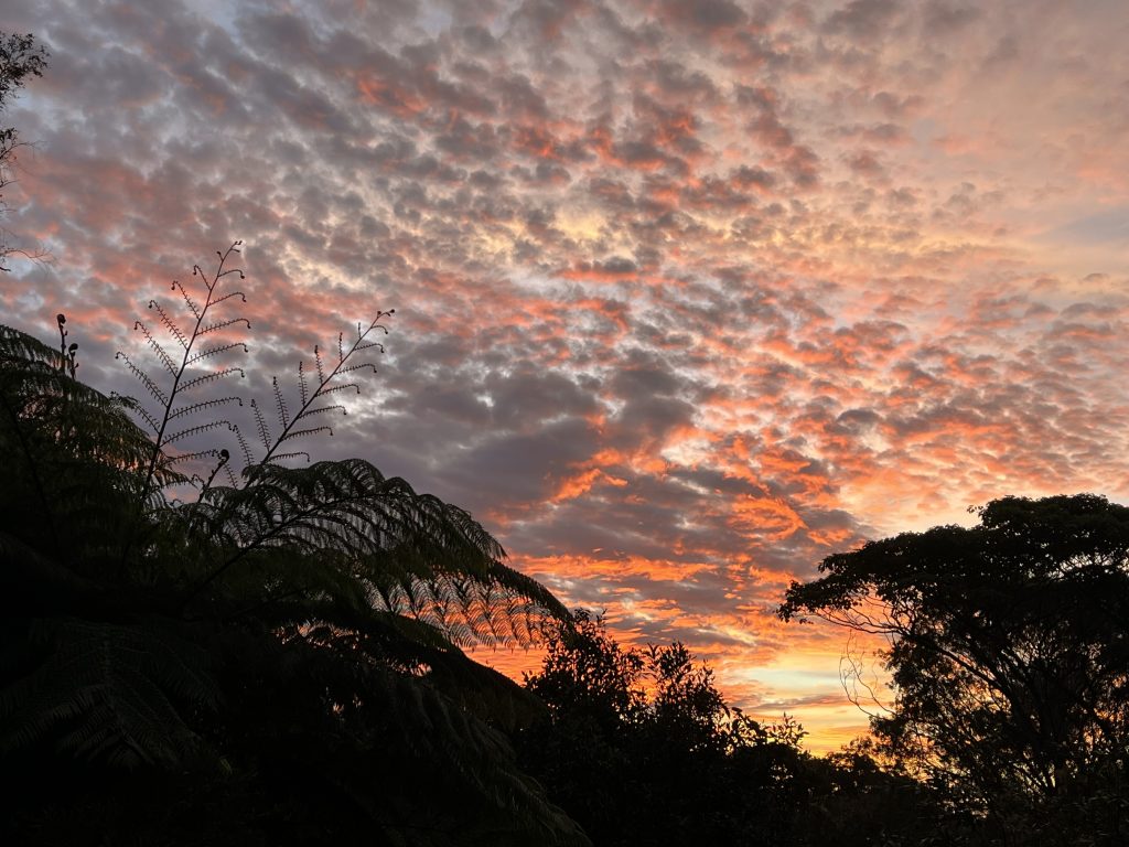 Sunset Pause